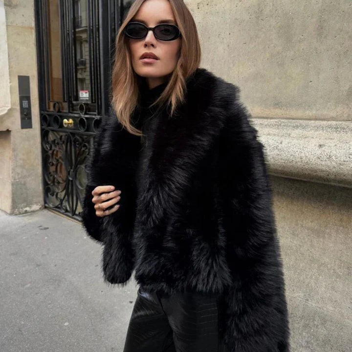 Modern Chic Collection