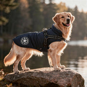 Hundemantel mit Geschirr  | Gepolstert & Reflektierend | Warme Jacke | SnugHound 5
