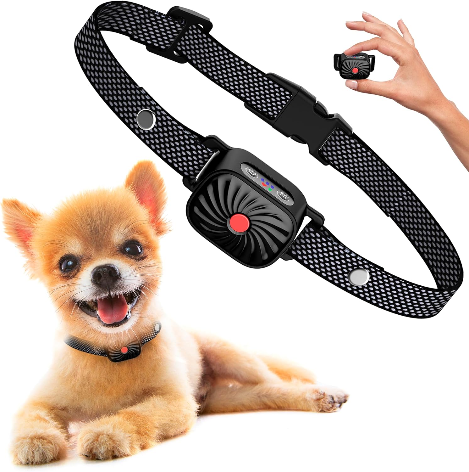 Lenny | Bark-Stop Collar – Relaxed Everyday Life for Small Dogs 1
