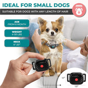 Lenny | Bark-Stop Collar – Relaxed Everyday Life for Small Dogs 2