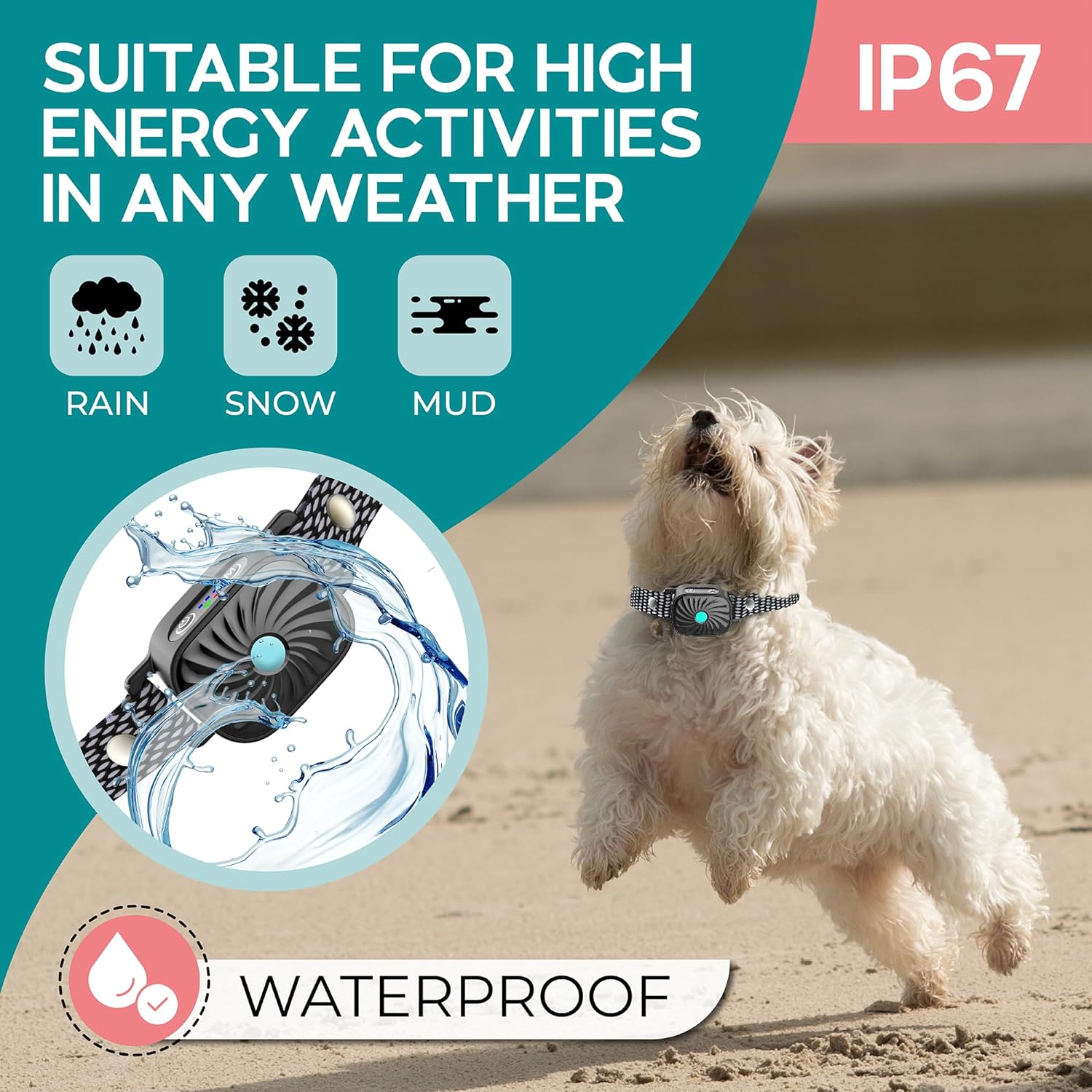 Lenny | Bark-Stop Collar – Relaxed Everyday Life for Small Dogs 5