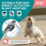 Lenny | Bark-Stop Collar – Relaxed Everyday Life for Small Dogs 5