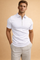 Paweł | T-shirt with Collar and Zipper 1