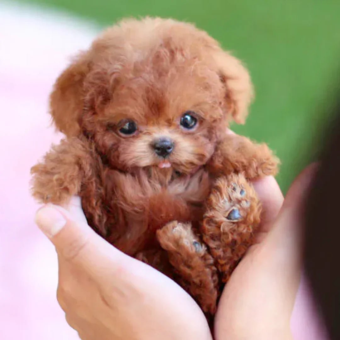 SNGGEPUP - Realistic plush dolls with lifelike details 0