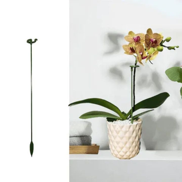Stabile Rankhilfe für Blumen & Gemüse | Wetterfest & werkzeuglos | Orchideen & Tomaten | StemRise 1