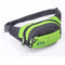 Willow | Waterproof Nylon Crossbody Fanny Pack 10