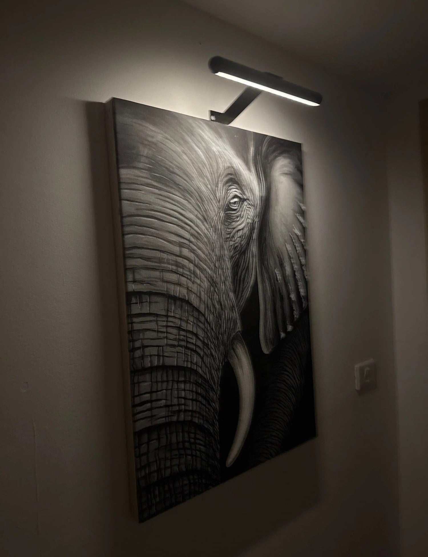 Wireless LED picture light 3